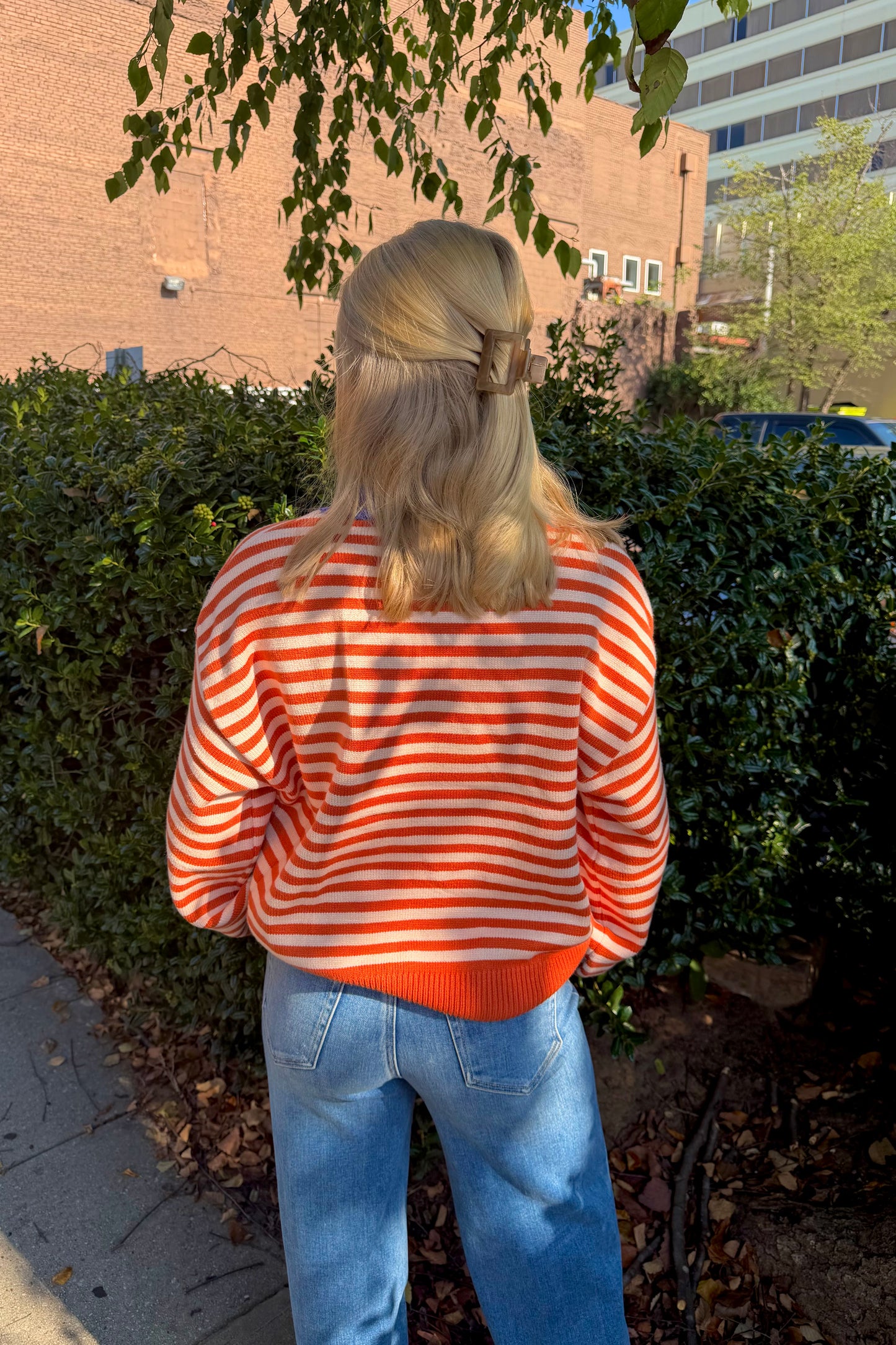 Falls Park Sweater