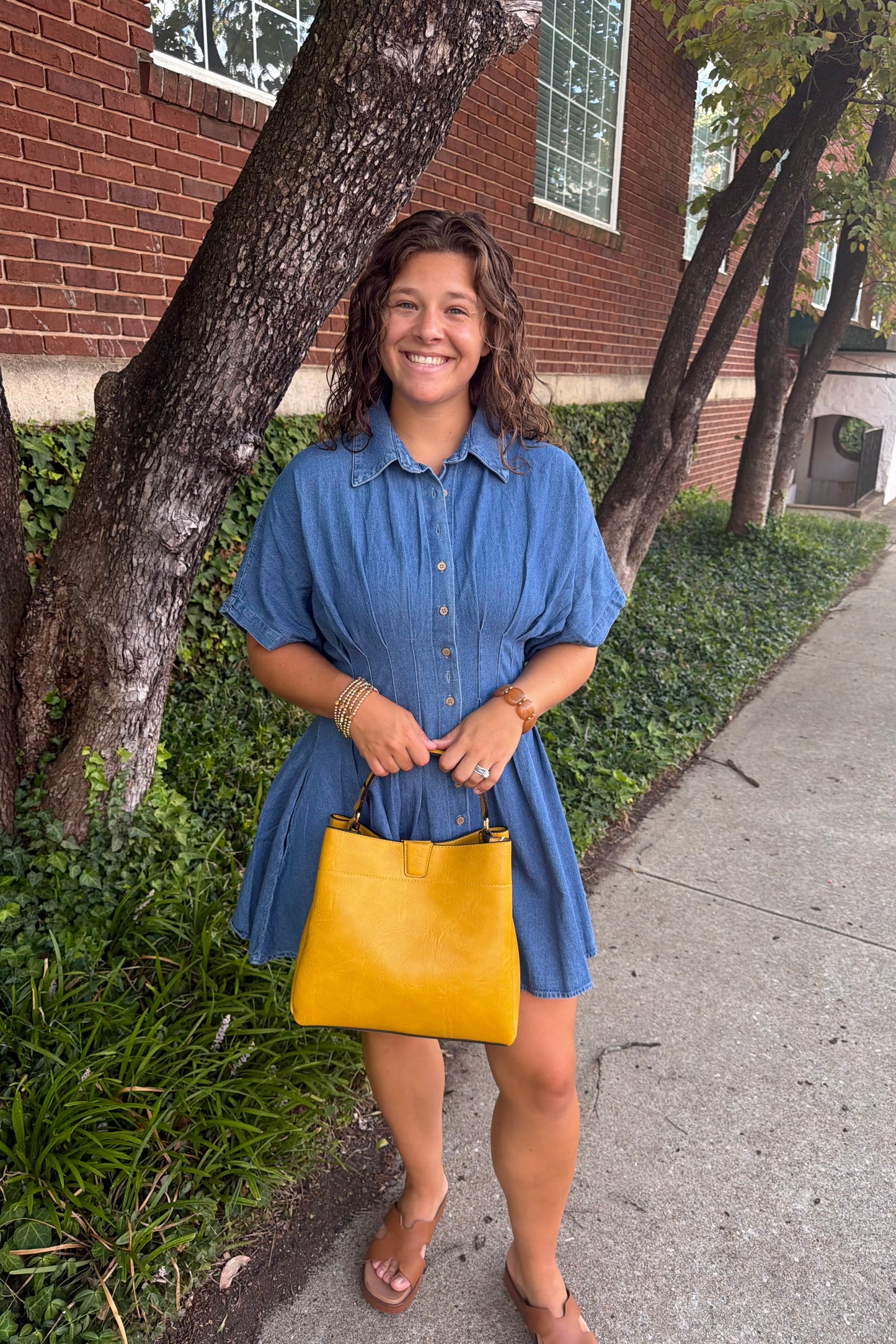 Shelton Dress
