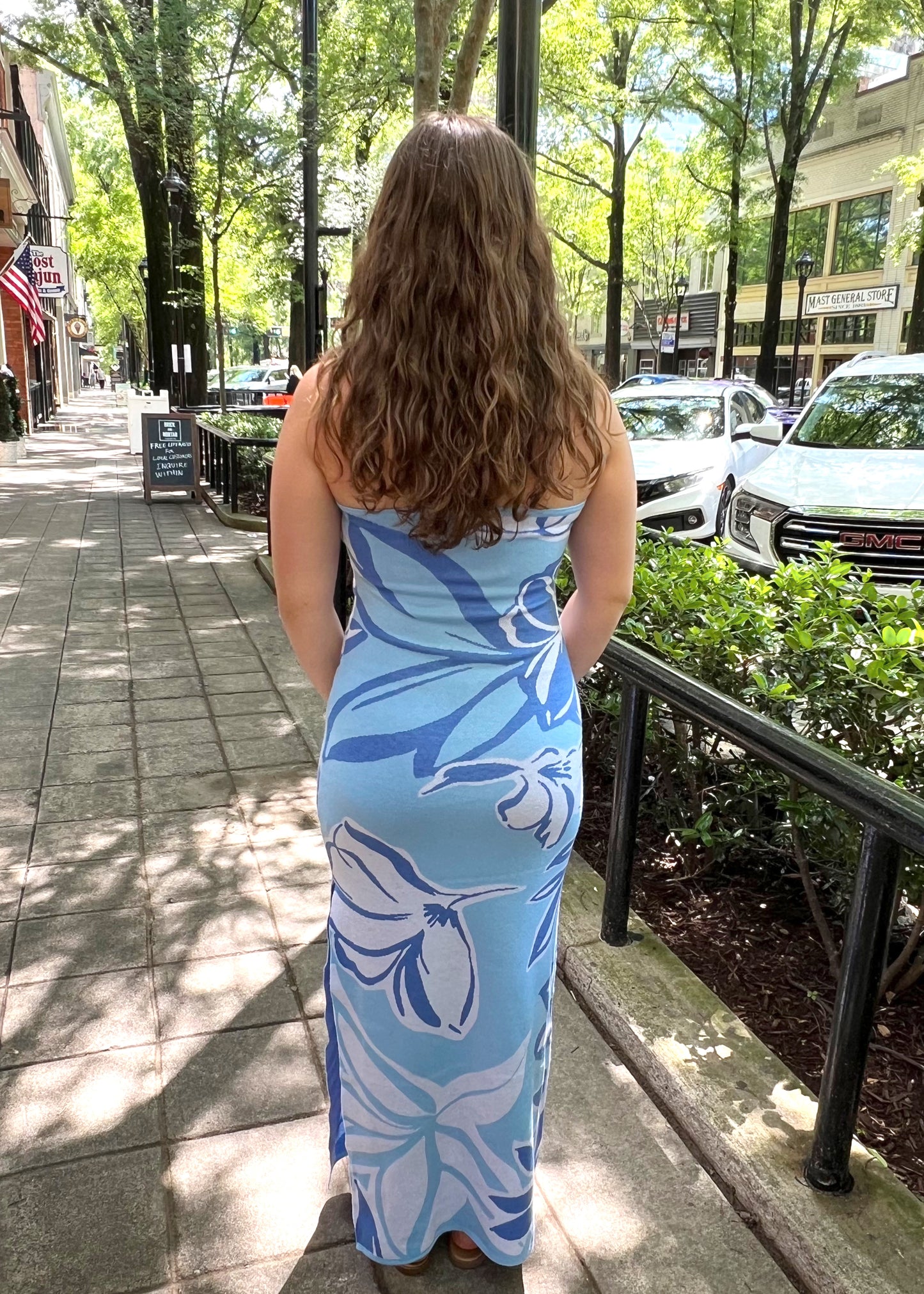 Lucia Dress