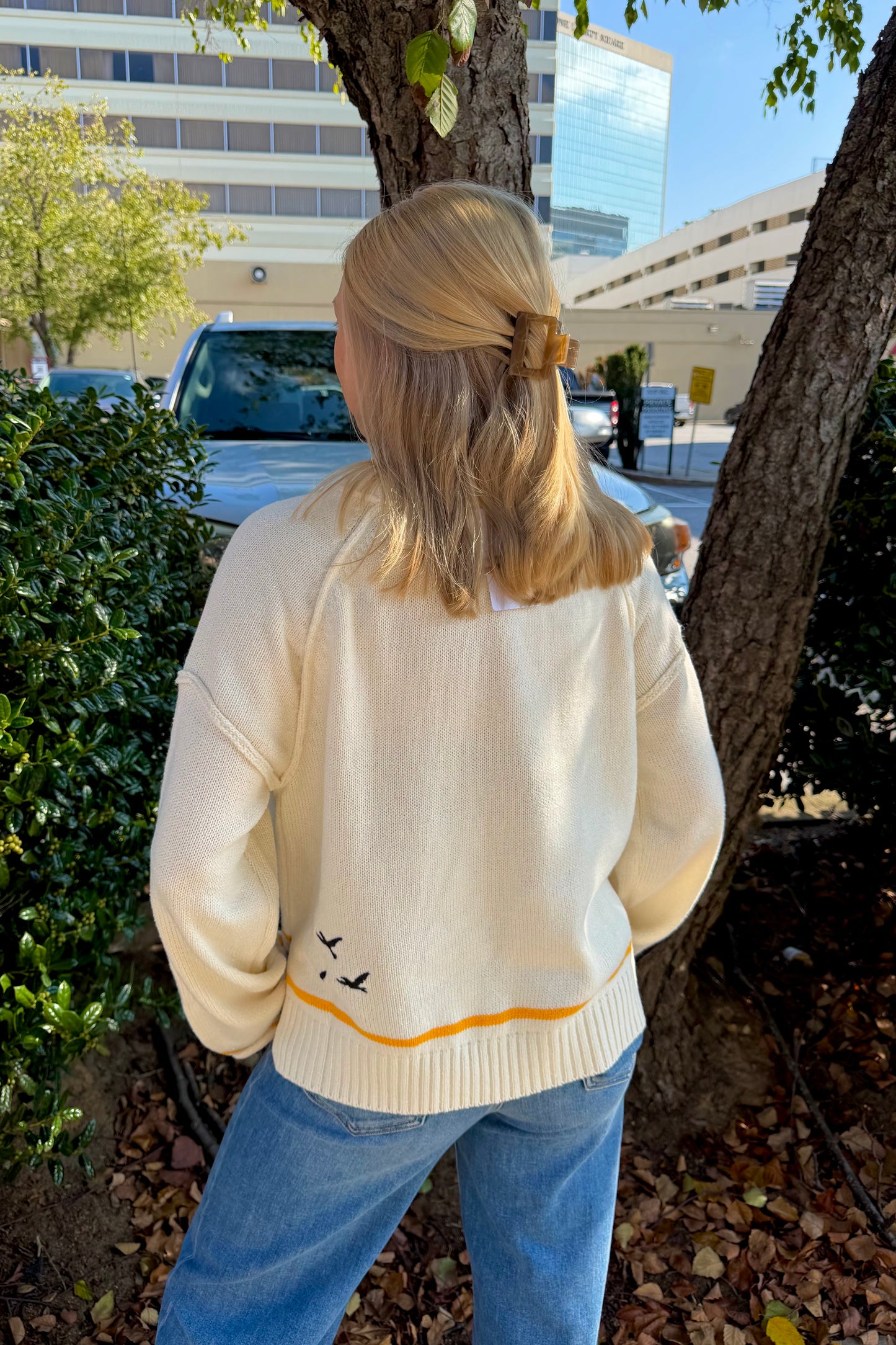 Seagull Sweater
