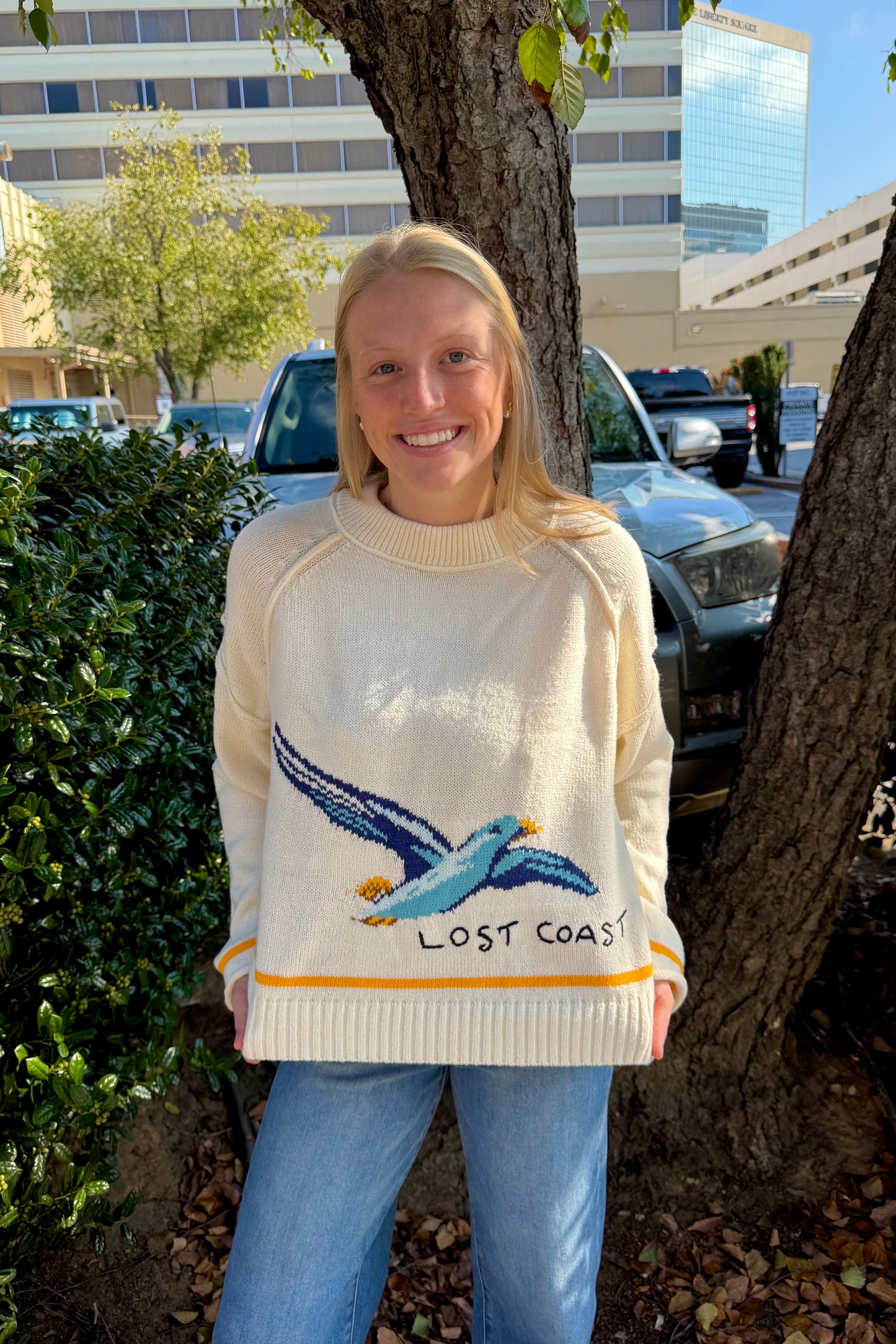 Seagull Sweater