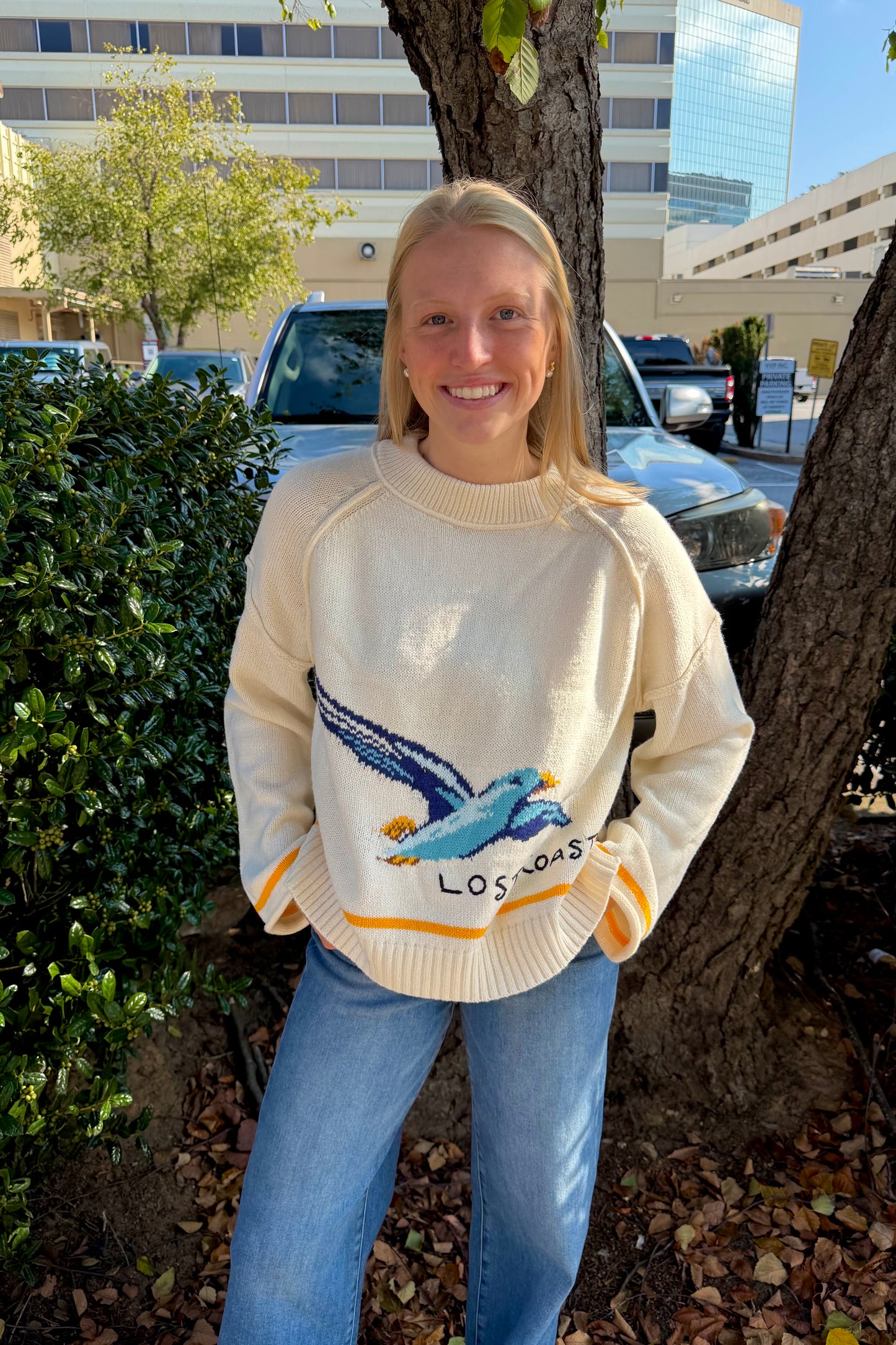 Seagull Sweater