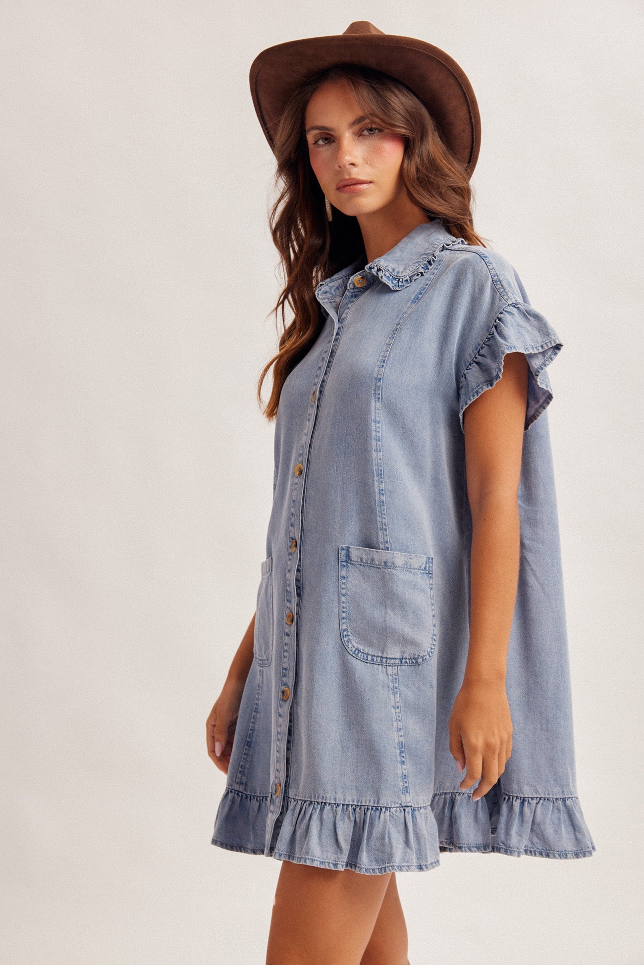 Nicole Denim Dress