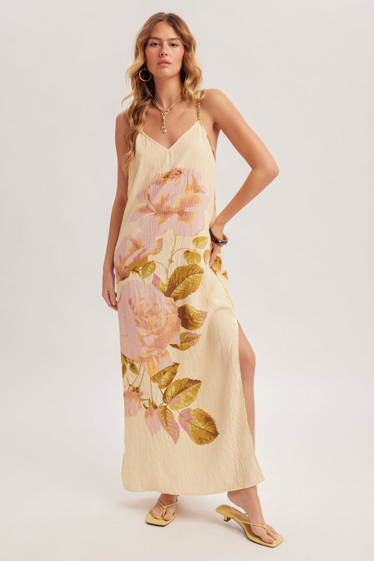 Time Flies Dress