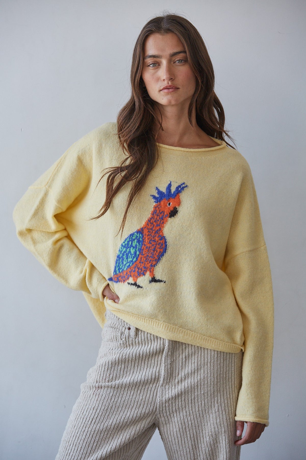 Parakeet Sweater
