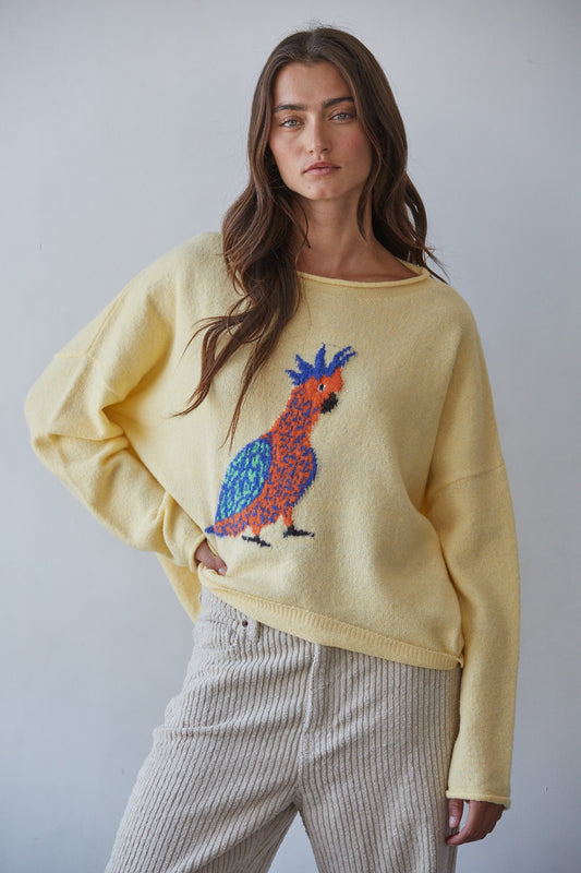 Parakeet Sweater